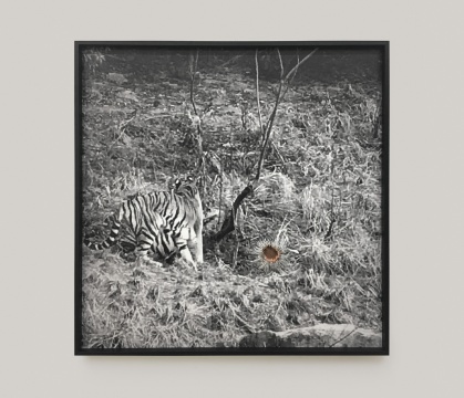 伍伟《上山图-5》35×35cm 纸、红铜 2019
伍伟《上山图-5》35×35cm 纸、红铜 2019