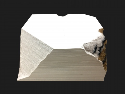 伍伟《虎落-3》35×35×18cm 纸 2018
伍伟《虎落-3》35×35×18cm 纸 2018