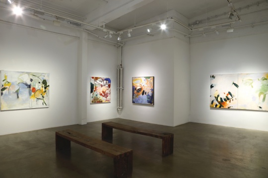 “你是另一边的闪电”,“90后”艺术家管昕然个展亮相桥舍画廊 “你是另一边的闪电”,“90后”艺术家管昕然个展亮相桥舍画廊