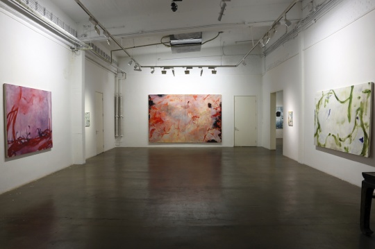 管昕然个展“你是另一边的闪电”现场
管昕然个展“你是另一边的闪电”现场