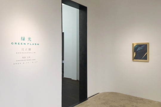 站台中国新展 这晦暗不明的“绿光”到底照亮了什么？