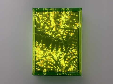 计洲《绿夜》70x50cm 灯箱 2020
计洲《绿夜》70x50cm 灯箱 2020