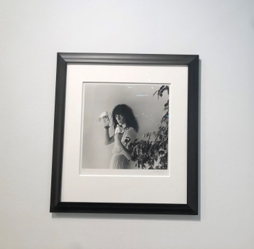 罗伯特·梅普尔索普（Robert Mapplethorpe）拍摄的音乐人、诗人帕蒂·史密斯（Patti Smith）的黑白肖像摄影，售价12.5万美金。因是存世10个版中的第5版，也是目前唯一流出市面的版本，所以一度引发藏家争抢。
