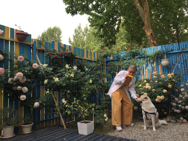 周洁和俩人的爱犬“阿笨”
周洁和俩人的爱犬“阿笨”