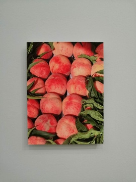 《106-21》40x30cm 艺术微喷 2020
《106-21》40x30cm 艺术微喷 2020