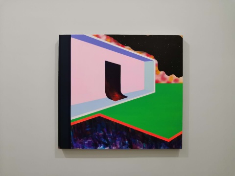 《近景I》92x100cm 布面丙烯 2019
《近景I》92x100cm 布面丙烯 2019