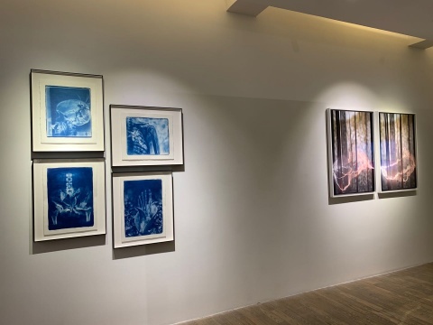 胡为一“春风”系列 100×70cm 摄影、数码微喷、哈内姆勒纯棉、硫化钡、悬浮白木框装裱 2020（右）
