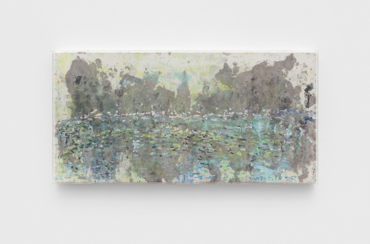 李玉双同名个展在亚洲艺术中心 跨越六十年的自然风景“光编码” 李玉双同名个展在亚洲艺术中心 跨越六十年的自然风景“光编码”
