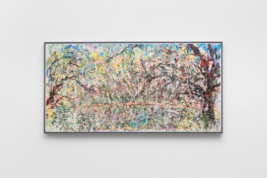 李玉双同名个展在亚洲艺术中心 跨越六十年的自然风景“光编码” 李玉双同名个展在亚洲艺术中心 跨越六十年的自然风景“光编码”