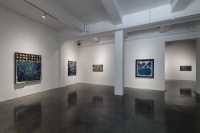 艺·凯旋画廊带来张丹个展   “生态剧场” 四大章节的反思与救赎