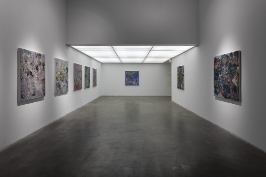 “生态剧场:张丹个展”展览现场
“生态剧场:张丹个展”展览现场