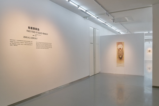 金杜艺术中心首展“也是郭凤仪”,众多“素人”艺术家中为何郭凤仪脱颖而出? 金杜艺术中心首展“也是郭凤仪”,众多“素人”艺术家中为何郭凤仪脱颖而出?