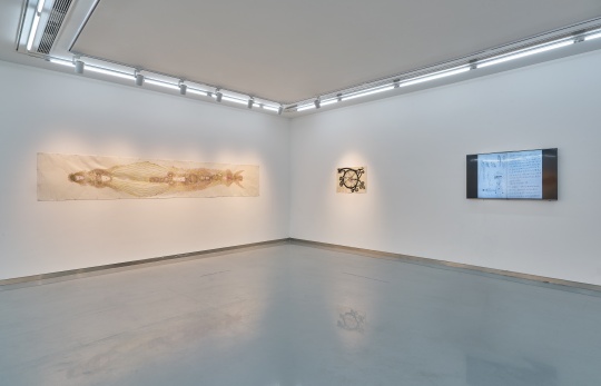 金杜艺术中心首展“也是郭凤仪”,众多“素人”艺术家中为何郭凤仪脱颖而出? 金杜艺术中心首展“也是郭凤仪”,众多“素人”艺术家中为何郭凤仪脱颖而出?