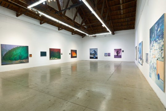 时间过得“飞慢”,张博夫5年后个展再次登陆空间站 时间过得“飞慢”,张博夫5年后个展再次登陆空间站