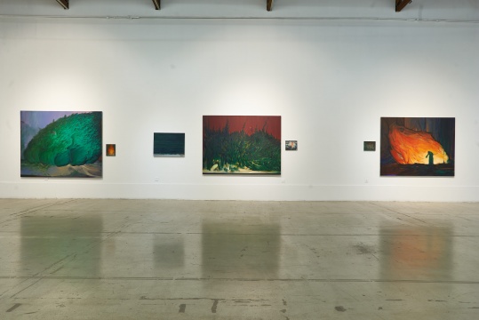 时间过得“飞慢”,张博夫5年后个展再次登陆空间站 时间过得“飞慢”,张博夫5年后个展再次登陆空间站