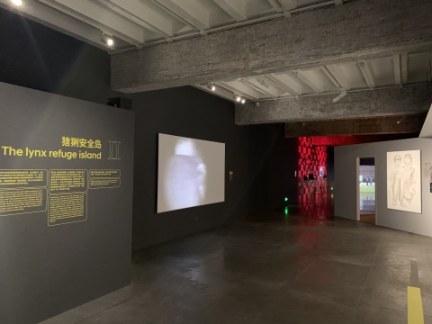 “游戏社会:狼、猞猁和蚁群”展览现场
“游戏社会:狼、猞猁和蚁群”展览现场