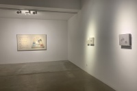 张小黎在TONG画廊，以盒中“黎界”刻画微观世界