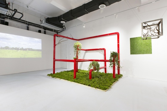 六位年轻艺术家在太湖畔霓美术馆，一场当代艺术与植物艺术跨界展