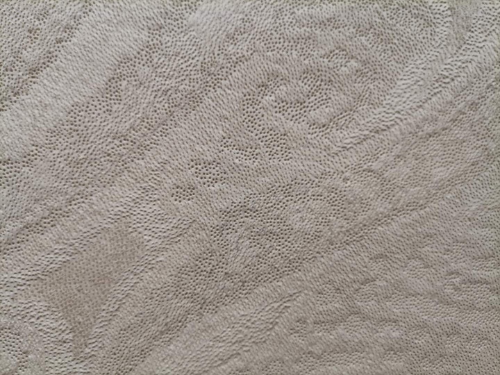 付小桐作品细节 付小桐十年来一直运用传统的针刺技术与加厚的宣纸结合进行创作,她通过数以万计朝着不同方向的针孔,在宣纸表面“扎”出若隐若现的图像
付小桐作品细节 付小桐十年来一直运用传统的针刺技术与加厚的宣纸结合进行创作,她通过数以万计朝着不同方向的针孔,在宣纸表面“扎”出若隐若现的图像
