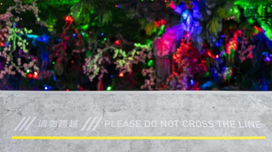 郑路在SPURS布局,豁然开朗后却是镜花水月 郑路在SPURS布局,豁然开朗后却是镜花水月
