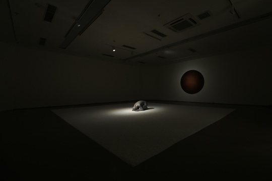 今日美术馆戴莹个展“为了忘却的纪念”展览现场
今日美术馆戴莹个展“为了忘却的纪念”展览现场