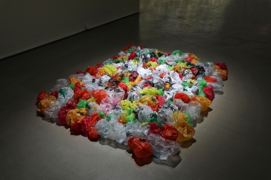 《国际歌》 200×150cm 塑料垃圾袋、生日小莲花、三色编织袋 2018
《国际歌》 200×150cm 塑料垃圾袋、生日小莲花、三色编织袋 2018