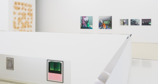 展览现场
展览现场