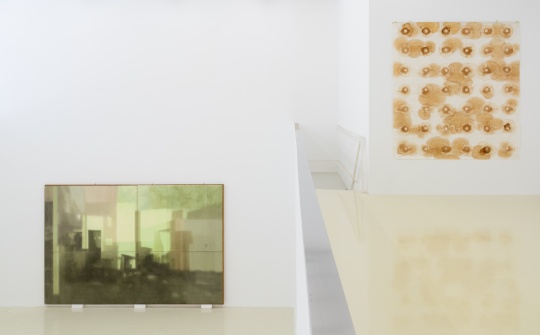 展览现场,右侧作品为张羽日复一日“上茶”后,最终留在宣纸上的痕迹 展览现场,右侧作品为张羽日复一日“上茶”后,最终留在宣纸上的痕迹
