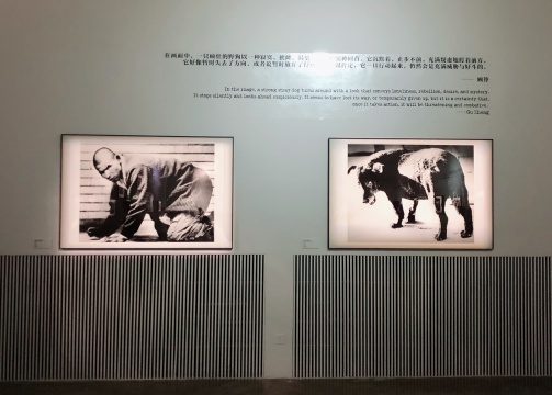 森山大道 《日本剧场写真帖 2》1968,“猎人系列”1972
森山大道 《日本剧场写真帖 2》1968,“猎人系列”1972