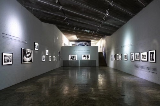三影堂开幕日本摄影大师五人展 “写真黄金一代” 三影堂开幕日本摄影大师五人展 “写真黄金一代”