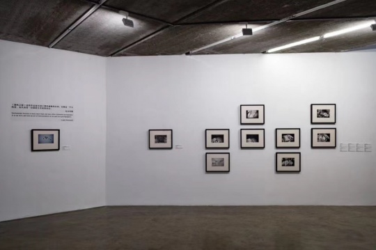 三影堂开幕日本摄影大师五人展 “写真黄金一代” 三影堂开幕日本摄影大师五人展 “写真黄金一代”