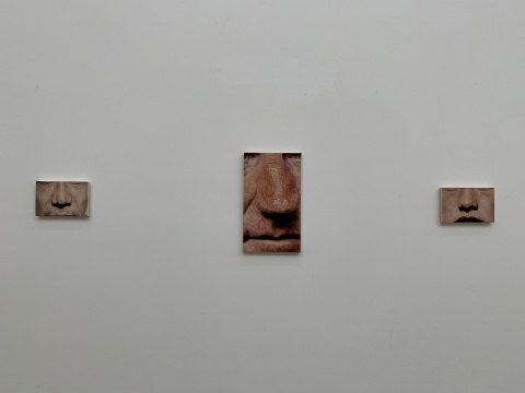 张书笺近作亮相CLC,细描慢画的快拍与动态 张书笺近作亮相CLC,细描慢画的快拍与动态