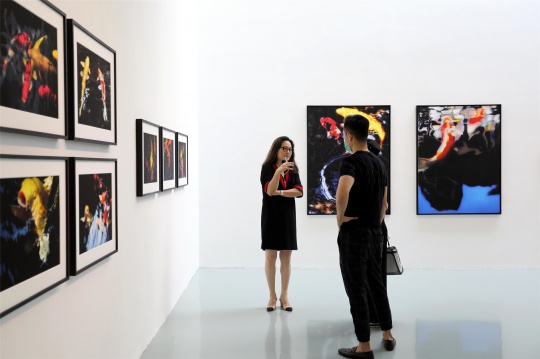 萧戈个展“锦鲤 & 别样奇境幻景”艾米李画廊展览现场
萧戈个展“锦鲤 & 别样奇境幻景”艾米李画廊展览现场