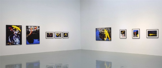 艾米李画廊双展开幕,夏日里的别样奇境幻景 艾米李画廊双展开幕,夏日里的别样奇境幻景