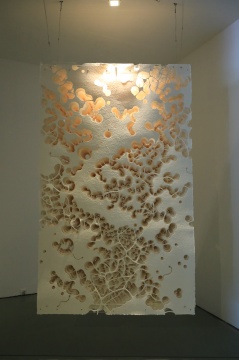 陈琦 《观象No.2》 120×260×30cm 纸雕装置 2019
陈琦 《观象No.2》 120×260×30cm 纸雕装置 2019