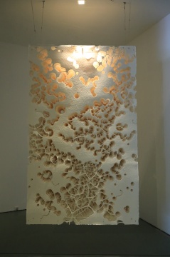 陈琦 《观象No.2》  120×260×30cm 纸雕装置 2019
