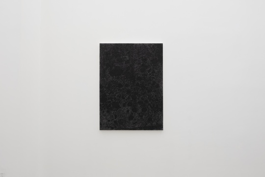 卜云军 《无题-花儿》 130×95cm 纸上油画棒 2020
卜云军 《无题-花儿》 130×95cm 纸上油画棒 2020