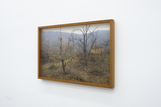 何迟 《我比较懂事》 103 × 69.5cm 行为摄影 2011
何迟 《我比较懂事》 103 × 69.5cm 行为摄影 2011