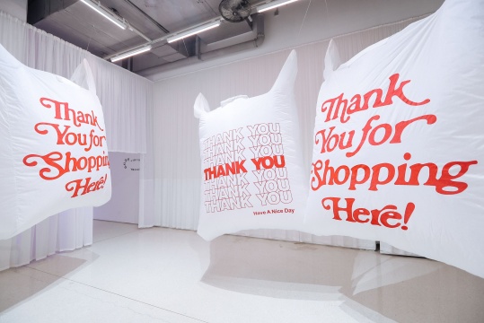 秘鲁、荷兰裔美国视觉艺术家里德·范·布伦肖特（Reed van Brunschot）作品《“谢谢您”购物袋》
