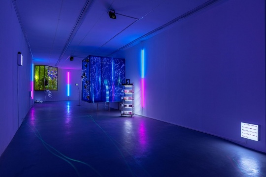 北京现在画廊新址首展 上半场郑维邀你“分蛋糕” 北京现在画廊新址首展 上半场郑维邀你“分蛋糕”
