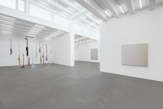 麦勒画廊新展开幕:张雪瑞, 从未在色彩的河流里迷失 麦勒画廊新展开幕:张雪瑞, 从未在色彩的河流里迷失