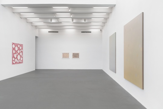 麦勒画廊新展开幕:张雪瑞, 从未在色彩的河流里迷失 麦勒画廊新展开幕:张雪瑞, 从未在色彩的河流里迷失