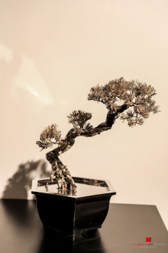 “姿态”展览现场
“姿态”展览现场