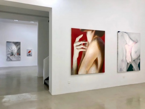 MILD +WILD=XXILD? 郑田明个展在TONG GALLERY+PROJECTS 开幕 MILD +WILD=XXILD? 郑田明个展在TONG GALLERY+PROJECTS 开幕