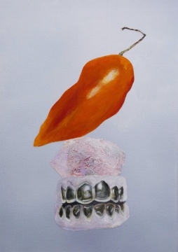 郑田明 《辣椒,水晶和金牙》布面丙烯 70 x 50 cm 2020
郑田明 《辣椒,水晶和金牙》布面丙烯 70 x 50 cm 2020