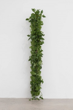 郭城 《(临时的)小器具No.5》 250×40×40cm Arduino、定制电路、盖革穆勒管、碳纤维管、垂直绿化毛毡袋、绿箩 2019
郭城 《(临时的)小器具No.5》 250×40×40cm Arduino、定制电路、盖革穆勒管、碳纤维管、垂直绿化毛毡袋、绿箩 2019