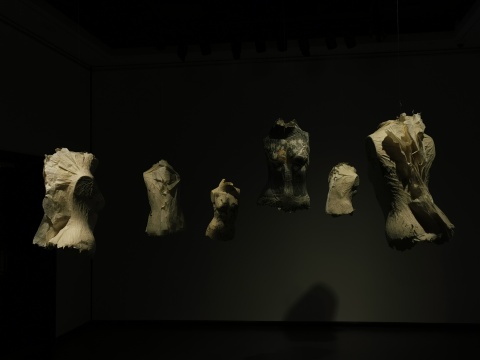 这届金鸡湖双年展,我们先看完了八分之一 这届金鸡湖双年展,我们先看完了八分之一