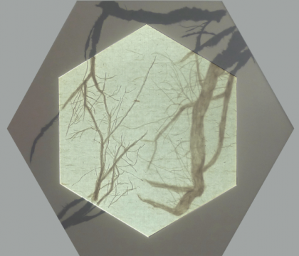 这届金鸡湖双年展,我们先看完了八分之一 这届金鸡湖双年展,我们先看完了八分之一