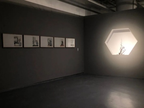 跟随吴洪亮的策展手记,去金鸡湖美术馆看“自·长物志” 跟随吴洪亮的策展手记,去金鸡湖美术馆看“自·长物志”