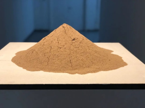 跟随吴洪亮的策展手记,去金鸡湖美术馆看“自·长物志” 跟随吴洪亮的策展手记,去金鸡湖美术馆看“自·长物志”